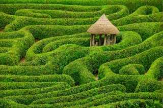 maze