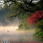 bing image