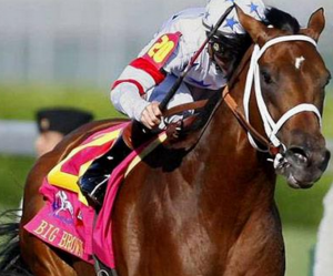 HORSE RACING