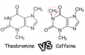Chocolate vs. Cafffeine